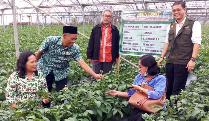 Semangat Petani, BKP Kementan Kembangkan Korporasi Usaha Tani di Sembalun